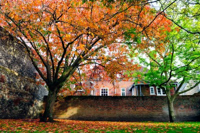 Property in Autumn Bounce-back as Property Prices Pull Back Summer Losses 